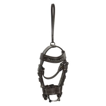 Bridle charm HVPLegacy -  Wood