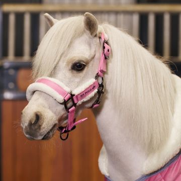 Headcollar HVPSacha -  Think Pink