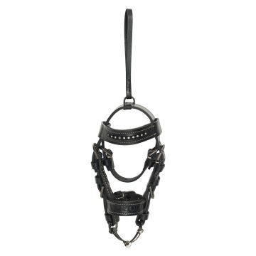 Bridle charm HVPLegacy -  Black