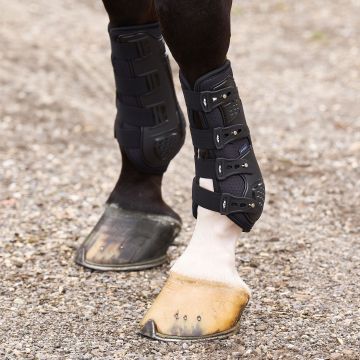 Dressuur peesbeschermers HVP-Pro Movement -  Black