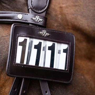 Competition number HVP-Legacy -  Chocolate brown