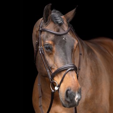Bridle HVP-Legacy -  Chocolate brown
