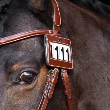 Competition number HVP-Legacy -  Brown