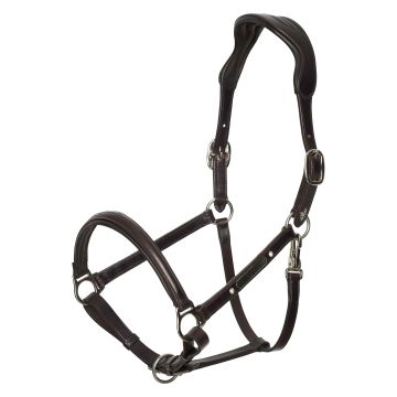 Headcollar HVP-Legacy -  Chocolate brown