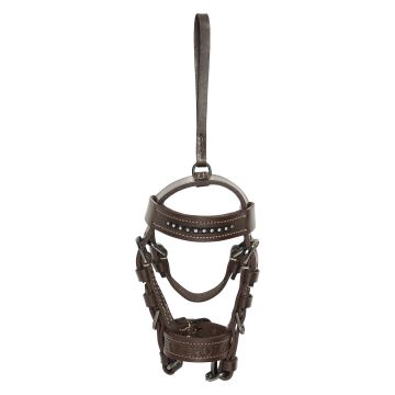 Bridle charm HVPLegacy -  Almond