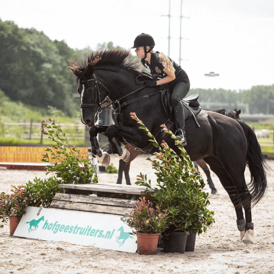 @lyalda.fanthoogeland on Instagram